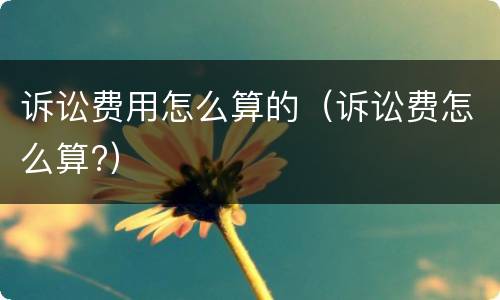 诉讼费用怎么算的（诉讼费怎么算?）