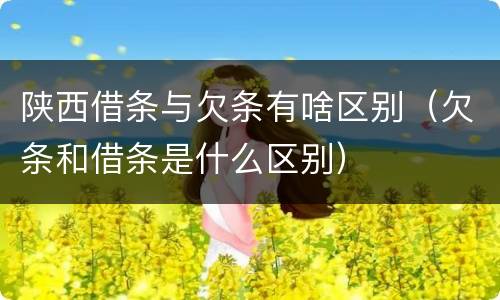 陕西借条与欠条有啥区别（欠条和借条是什么区别）