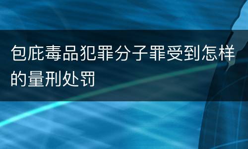 包庇毒品犯罪分子罪受到怎样的量刑处罚