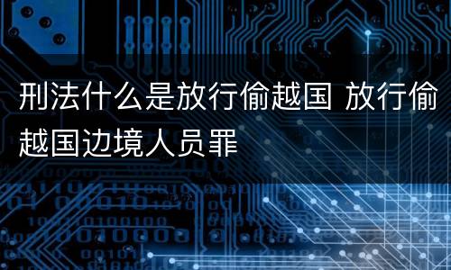 刑法什么是放行偷越国 放行偷越国边境人员罪