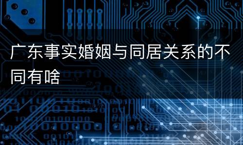 广东事实婚姻与同居关系的不同有啥