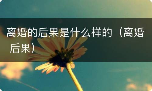 离婚的后果是什么样的（离婚 后果）