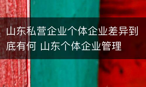 山东私营企业个体企业差异到底有何 山东个体企业管理