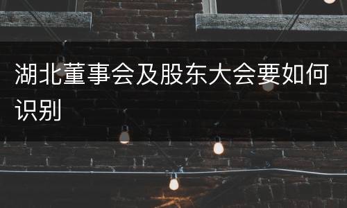 湖北董事会及股东大会要如何识别