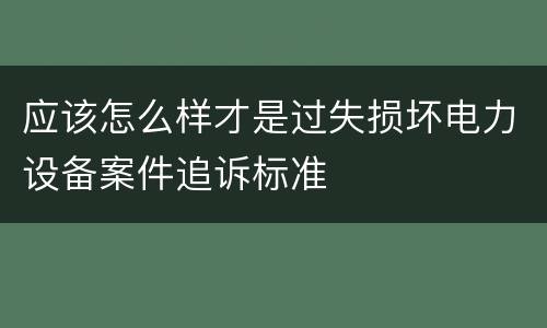 应该怎么样才是过失损坏电力设备案件追诉标准