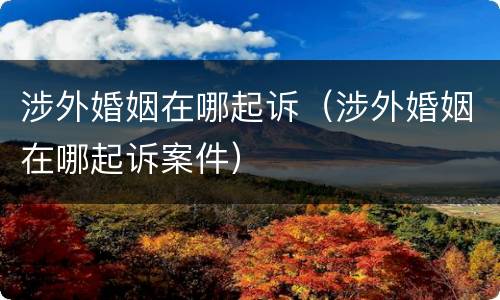涉外婚姻在哪起诉（涉外婚姻在哪起诉案件）