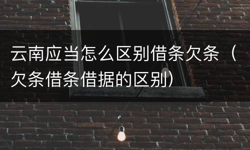 云南应当怎么区别借条欠条（欠条借条借据的区别）