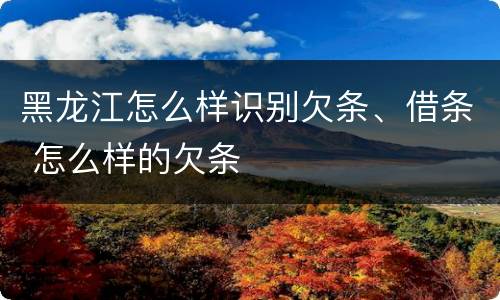 黑龙江怎么样识别欠条、借条 怎么样的欠条