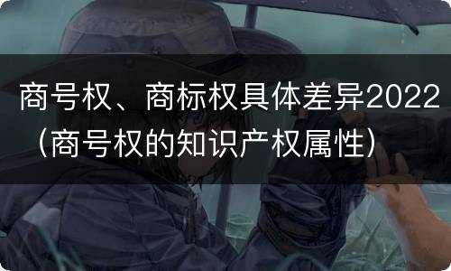 商号权、商标权具体差异2022（商号权的知识产权属性）