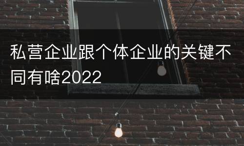 私营企业跟个体企业的关键不同有啥2022