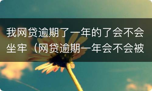 我网贷逾期了一年的了会不会坐牢（网贷逾期一年会不会被起诉）