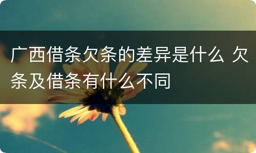 广西借条欠条的差异是什么 欠条及借条有什么不同