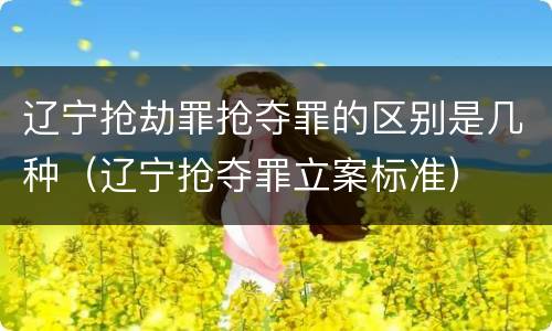 辽宁抢劫罪抢夺罪的区别是几种（辽宁抢夺罪立案标准）