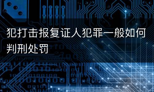 犯打击报复证人犯罪一般如何判刑处罚