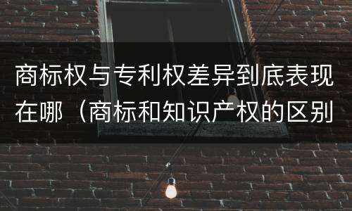 商标权与专利权差异到底表现在哪（商标和知识产权的区别）