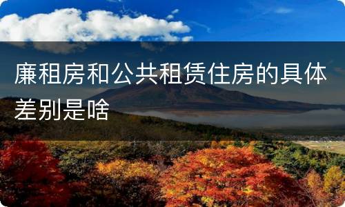 廉租房和公共租赁住房的具体差别是啥