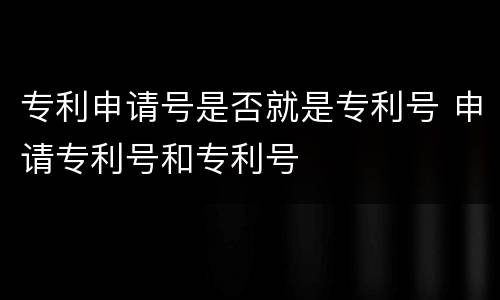专利申请号是否就是专利号 申请专利号和专利号