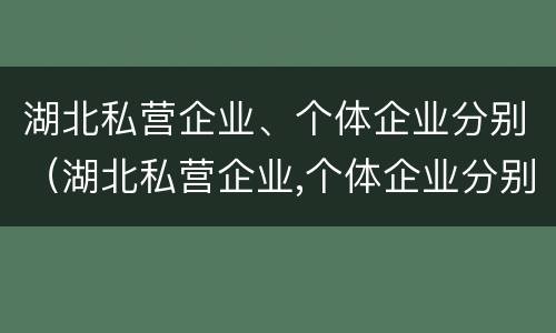 湖北私营企业、个体企业分别（湖北私营企业,个体企业分别有哪些）