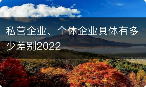私营企业、个体企业具体有多少差别2022