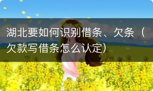 湖北要如何识别借条、欠条（欠款写借条怎么认定）