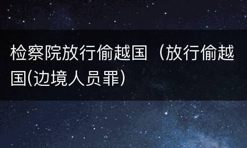 检察院放行偷越国（放行偷越国(边境人员罪）
