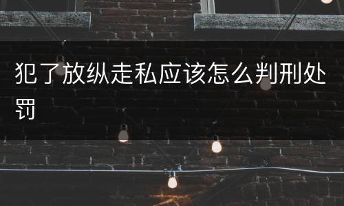 犯了放纵走私应该怎么判刑处罚