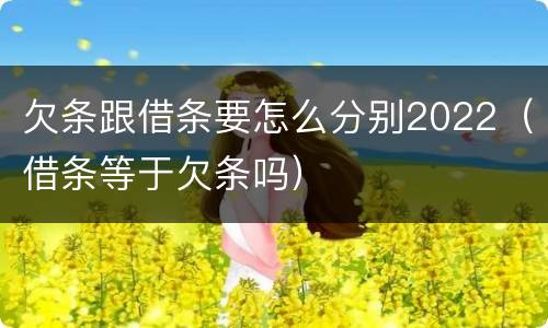 欠条跟借条要怎么分别2022（借条等于欠条吗）
