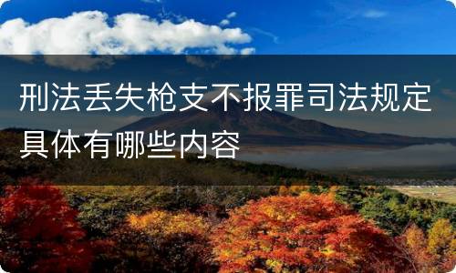 刑法丢失枪支不报罪司法规定具体有哪些内容