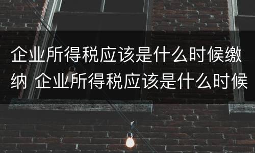 企业所得税应该是什么时候缴纳 企业所得税应该是什么时候缴纳的