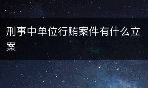刑事中单位行贿案件有什么立案