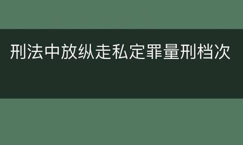 刑法中放纵走私定罪量刑档次