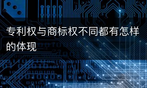 专利权与商标权不同都有怎样的体现