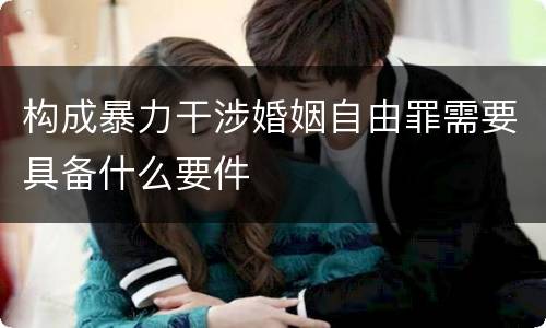 构成暴力干涉婚姻自由罪需要具备什么要件