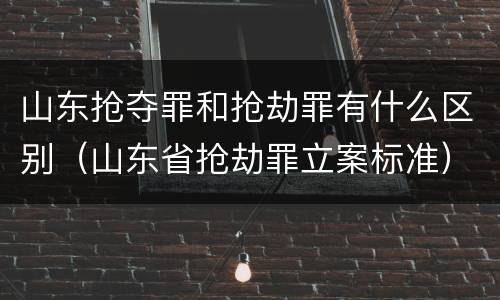 山东抢夺罪和抢劫罪有什么区别（山东省抢劫罪立案标准）