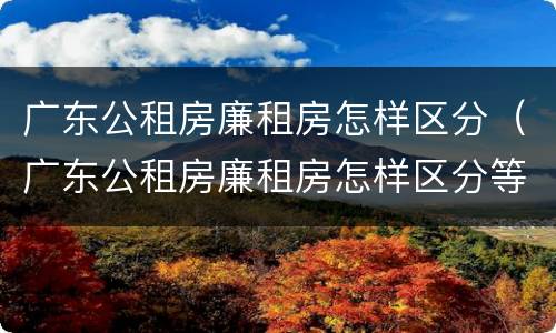 广东公租房廉租房怎样区分（广东公租房廉租房怎样区分等级）