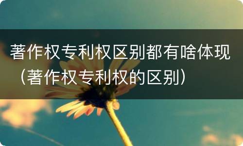 著作权专利权区别都有啥体现（著作权专利权的区别）
