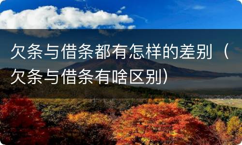 欠条与借条都有怎样的差别（欠条与借条有啥区别）