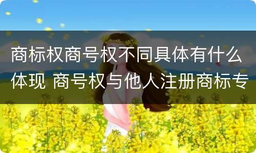 商标权商号权不同具体有什么体现 商号权与他人注册商标专用权的冲突