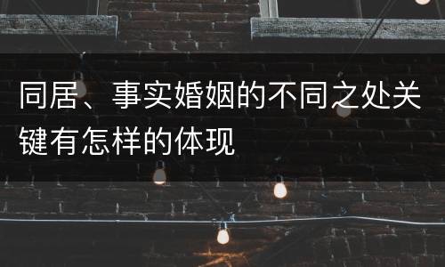 同居、事实婚姻的不同之处关键有怎样的体现