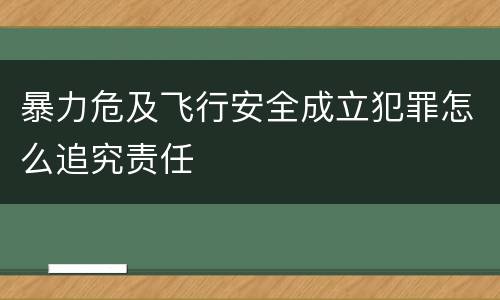 暴力危及飞行安全成立犯罪怎么追究责任