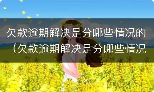 欠款逾期解决是分哪些情况的（欠款逾期解决是分哪些情况的责任）