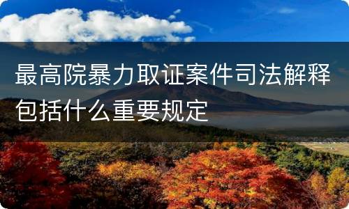最高院暴力取证案件司法解释包括什么重要规定