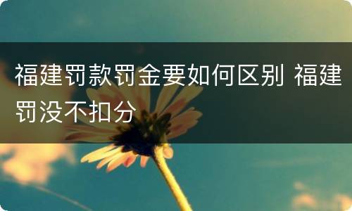福建罚款罚金要如何区别 福建罚没不扣分
