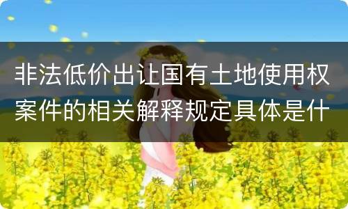 非法低价出让国有土地使用权案件的相关解释规定具体是什么