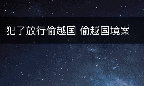 犯了放行偷越国 偷越国境案