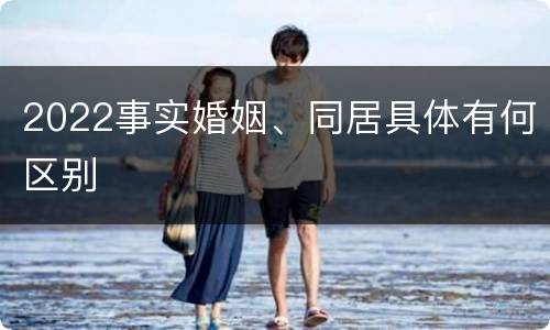 2022事实婚姻、同居具体有何区别