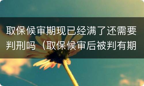 取保候审期现已经满了还需要判刑吗（取保候审后被判有期徒刑是要进去吗）