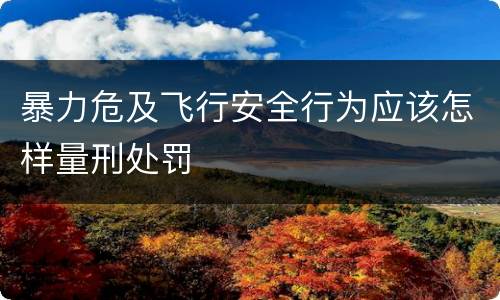 暴力危及飞行安全行为应该怎样量刑处罚