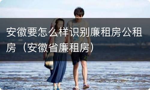 安徽要怎么样识别廉租房公租房（安徽省廉租房）