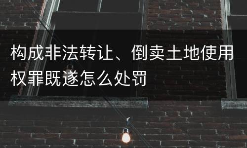 构成非法转让、倒卖土地使用权罪既遂怎么处罚